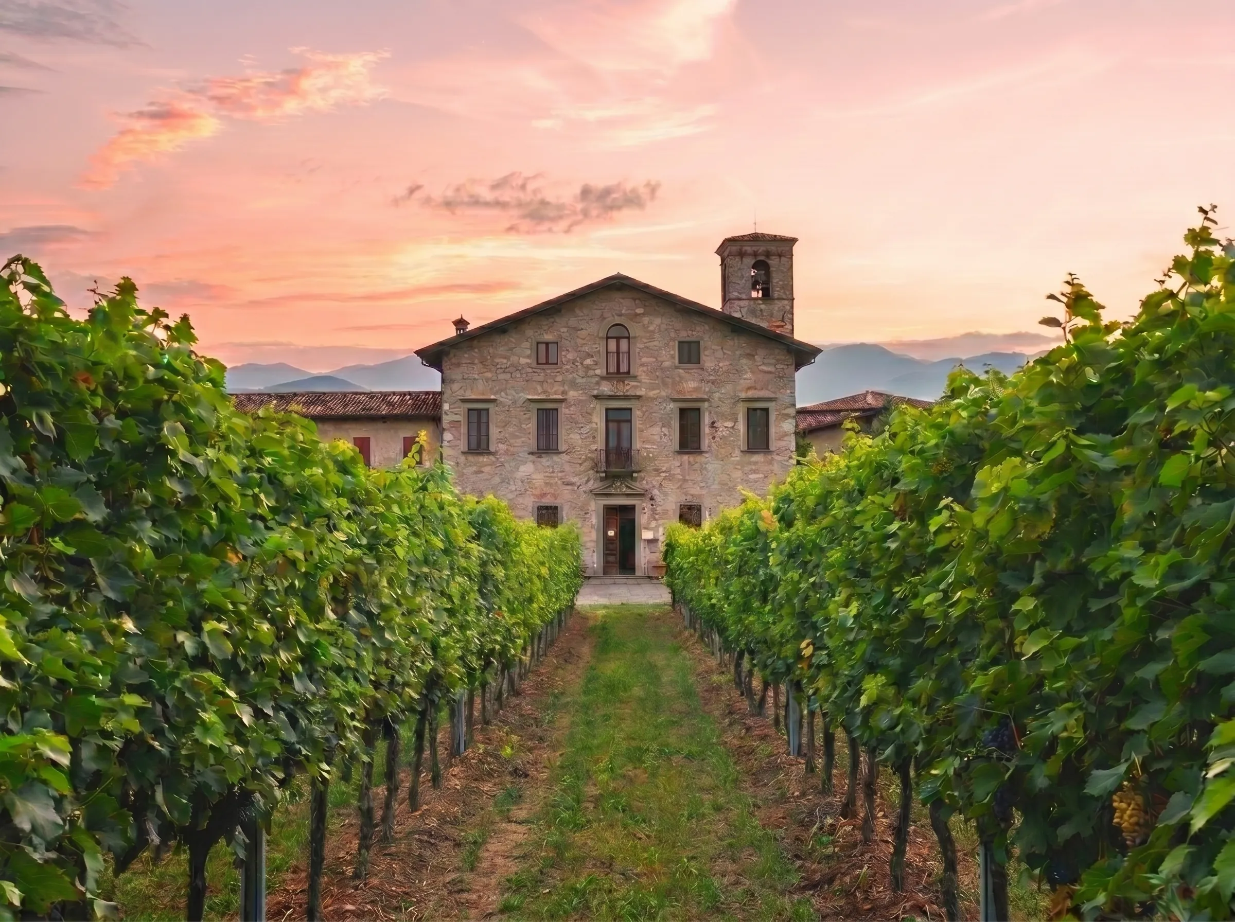 franciacorta wine tasting private driver milan